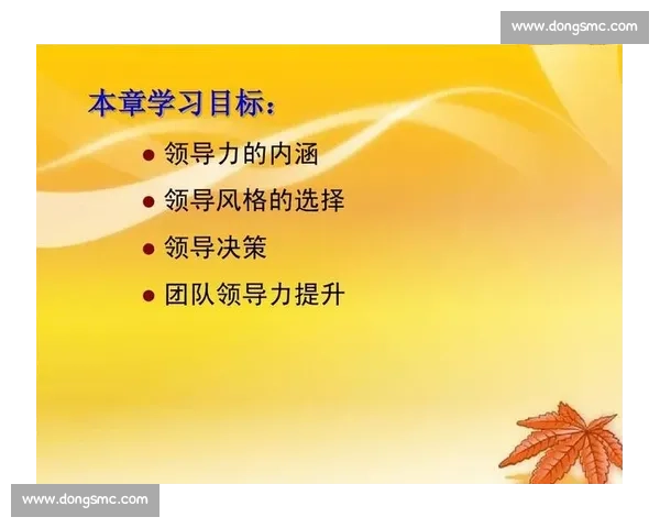 体育团队领导力提升策略与成员协同发展研究探索 体育团队领导力提升策略与成员协同发展研究探索