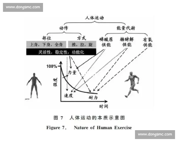 提升竞技表现的体育心理训练策略与实用方法研究