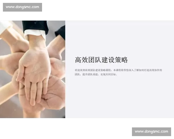 体育团队领导力提升策略与成员协作效能研究 体育团队领导力提升策略与成员协作效能研究